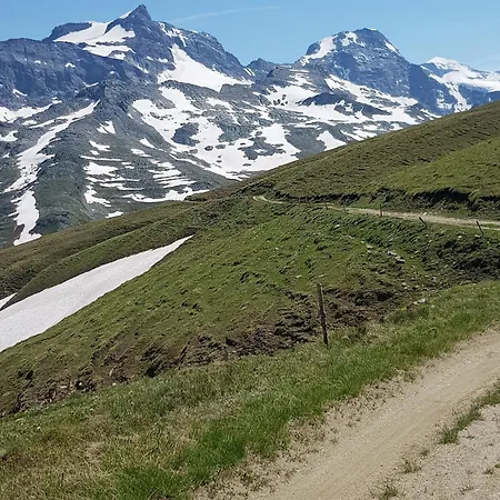 Beim Aletschgletscher